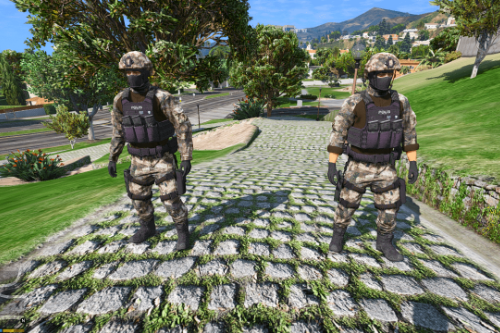 Turkish Police Special Operations [PED]