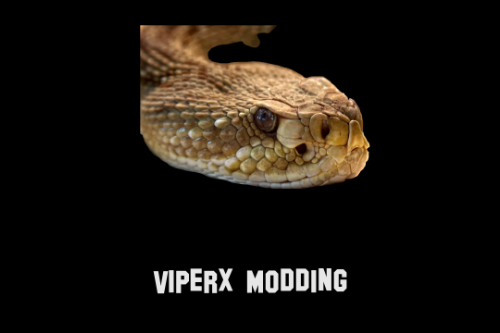 ViperX Loading Screen