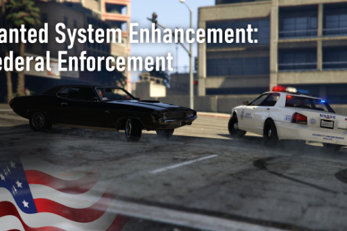 Wanted System Enhancement: Federal Enforcement