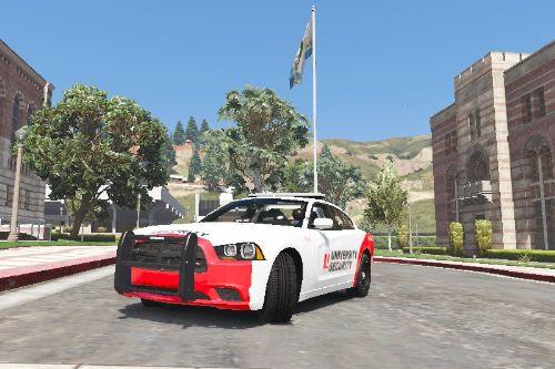York University Charger Security Texture