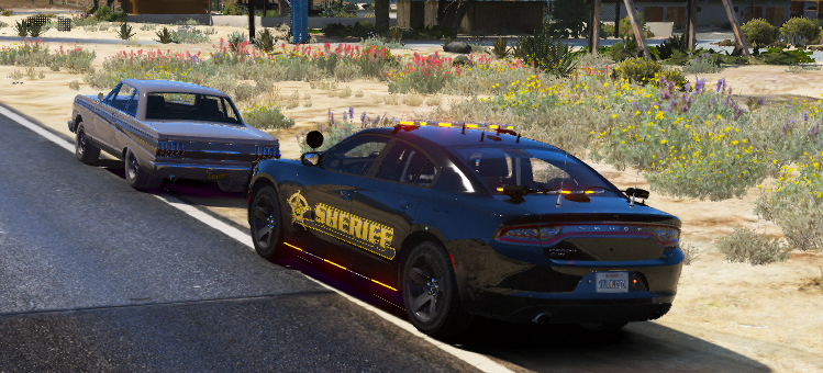 GTA 5 BCSO Skin Pack