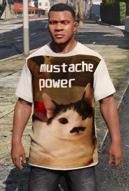 gta 5 cat shirt