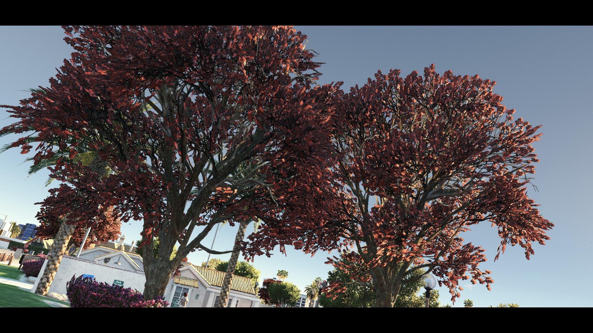 Low grass vegetation gta 5 фото 118