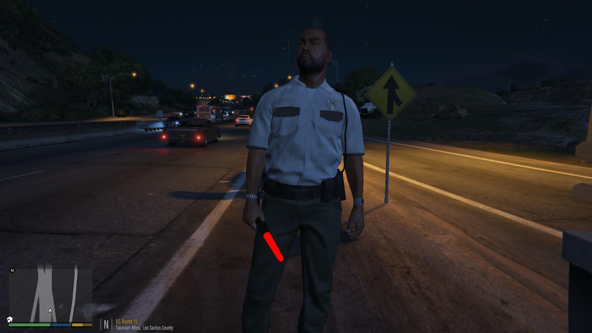 Traffic control gta 5 фото 80