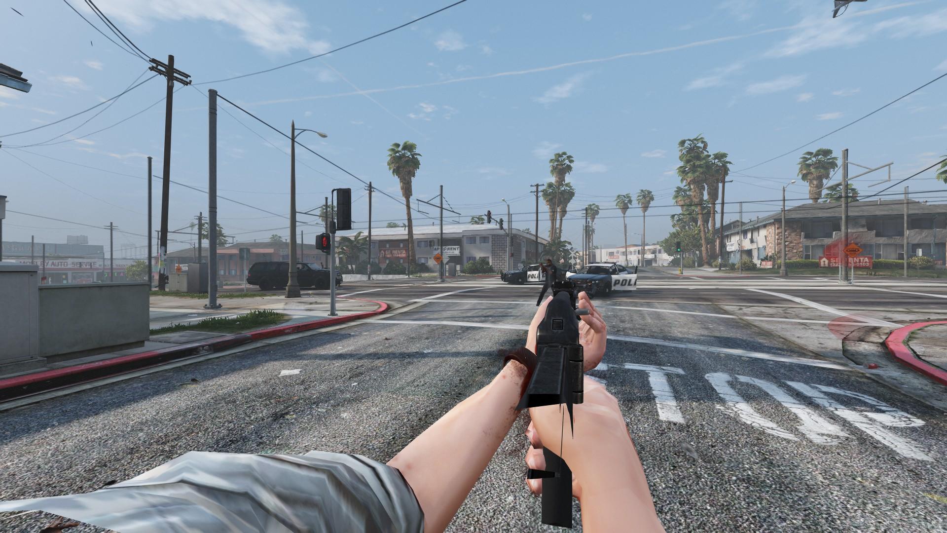 GTA V FoV 