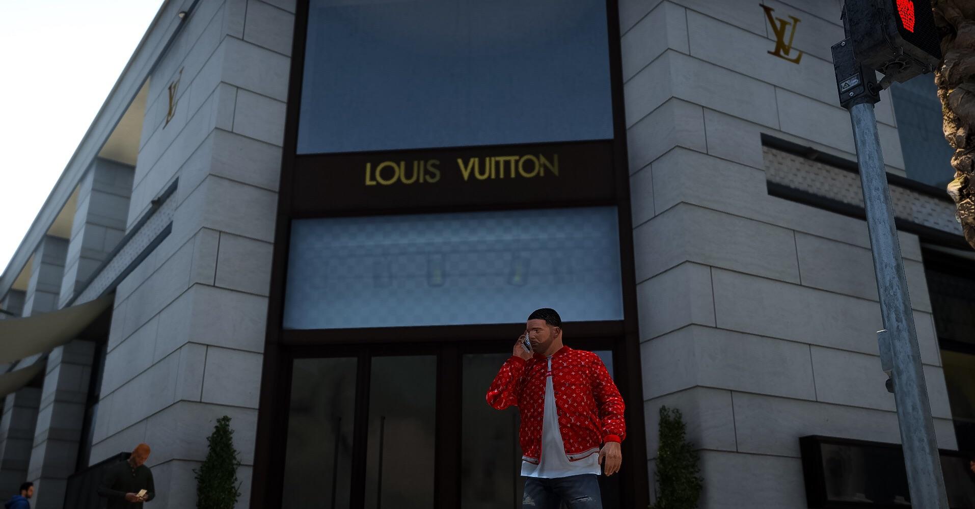 Louis Vuitton Store 2013 - 0