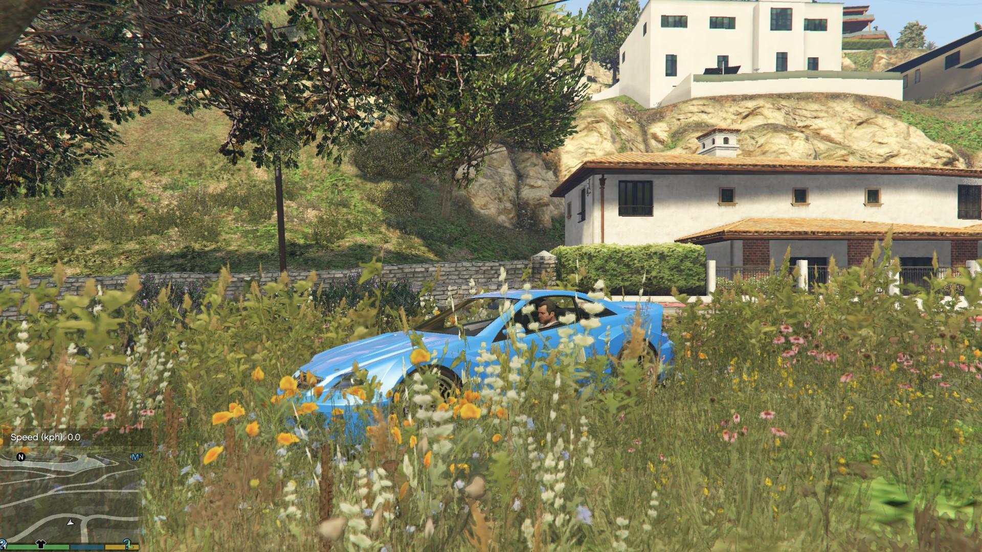 GTA 4 New Grass Height Mod 