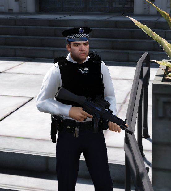 Met Police PaDP (Parliamentary and Diplomatic Policing) Officer - GTA5 ...