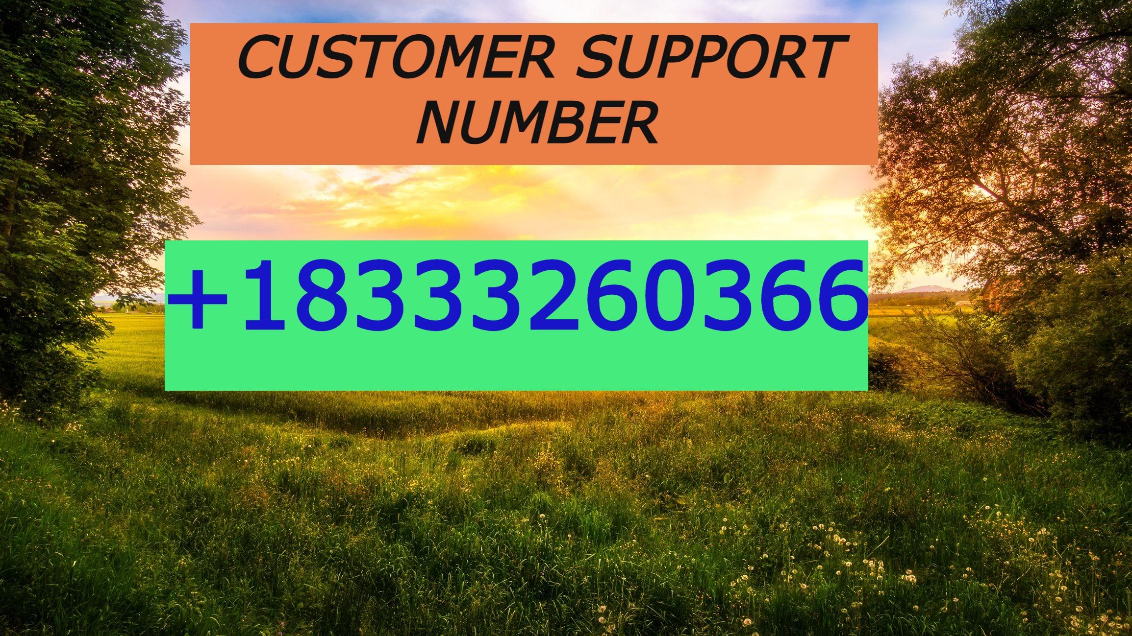 msn-helpline-toll-free-number-1833-326-0366-msn-helpline-number