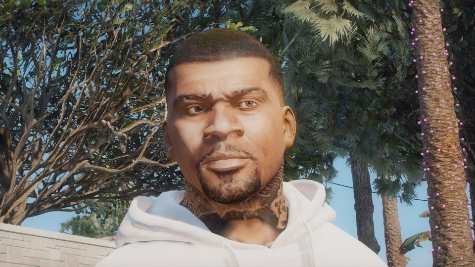 New Face For Franklin Gta5 5532