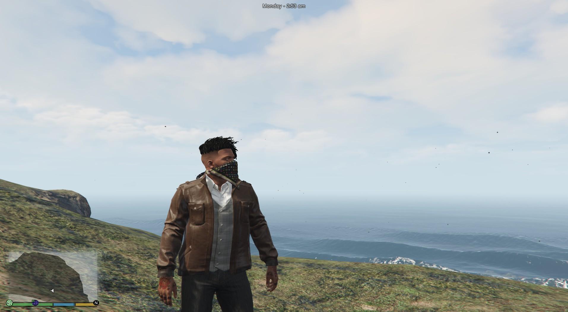 Gta 5 mod franklin replace фото 33