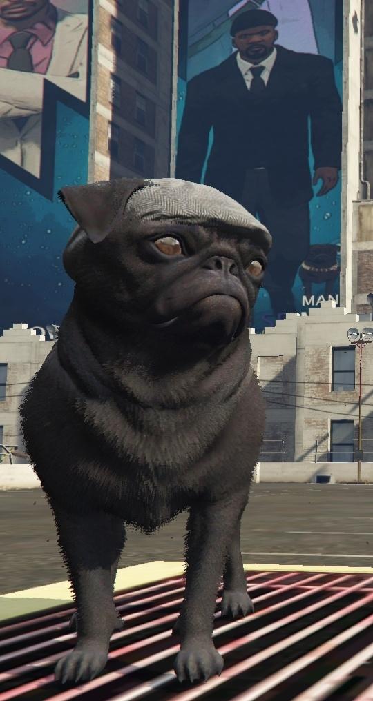 Ourstory's Peaky Blinder Pug SP + FiveM Ready - GTA5-Mods.com