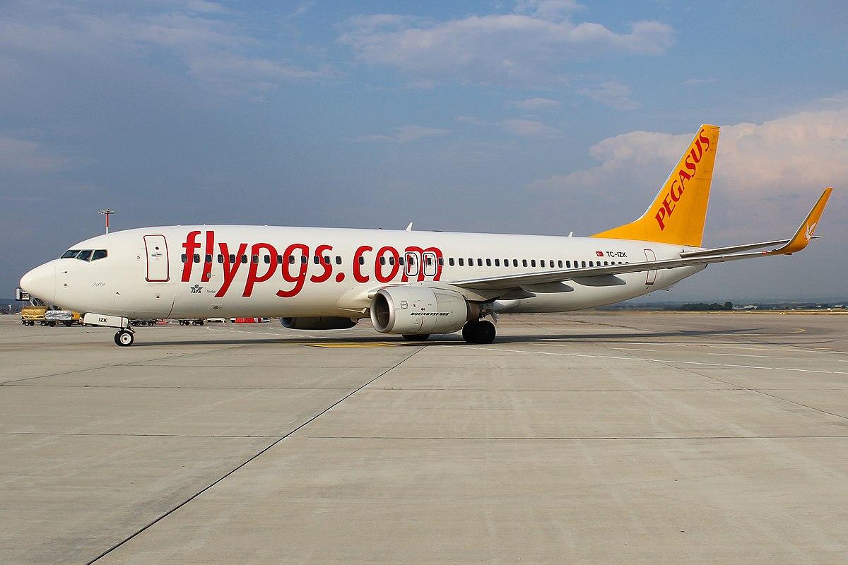 Pegasus airlines фото