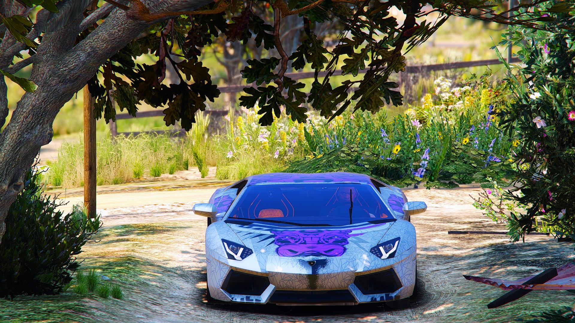 Gta 5 enb for naturalvision evolved фото 65