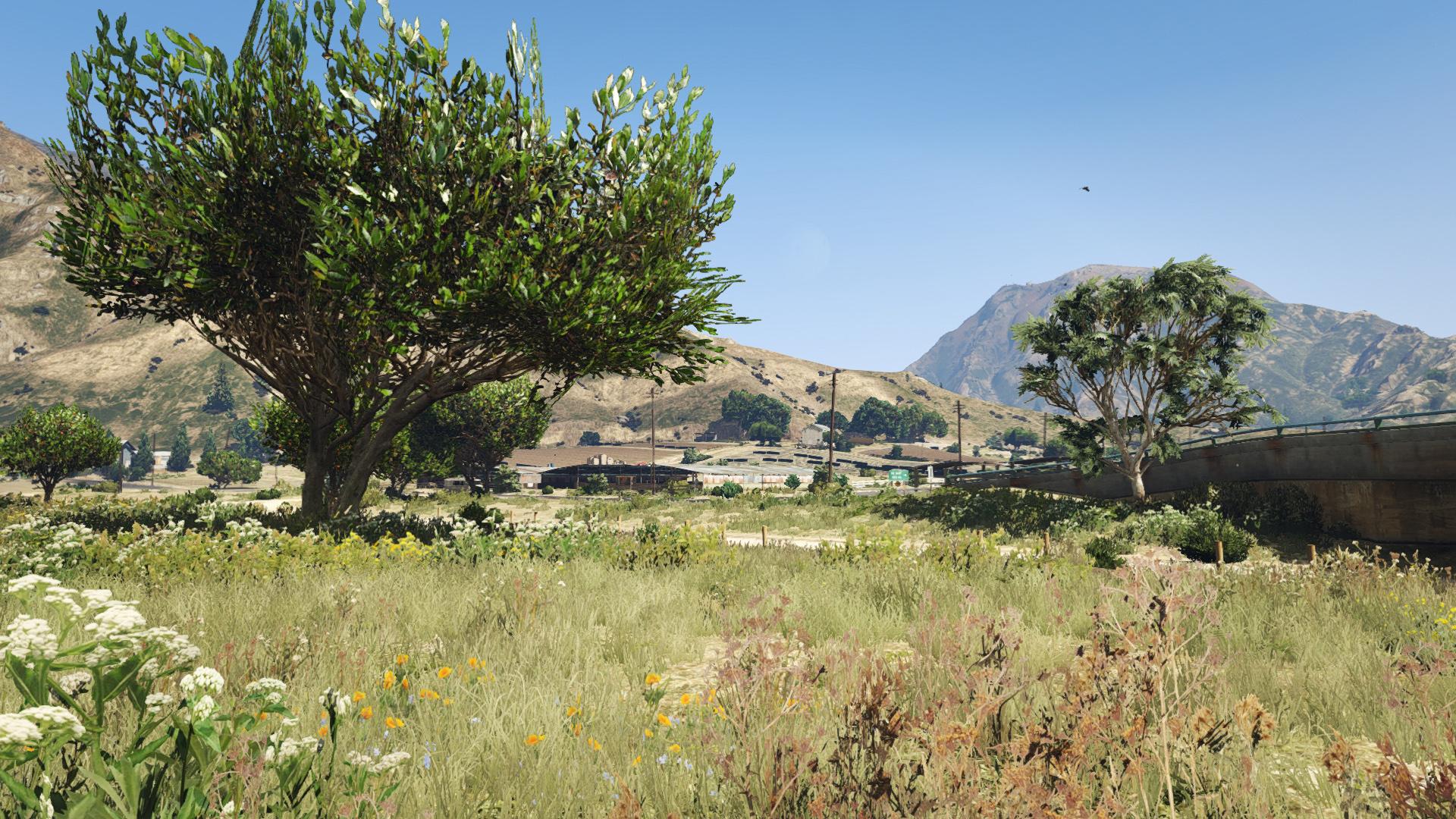 Low grass vegetation gta 5 фото 92