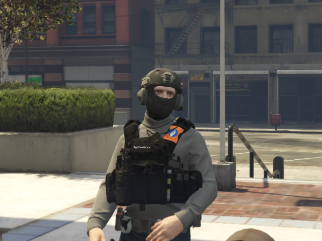 Police vest Belgium - GTA5-Mods.com