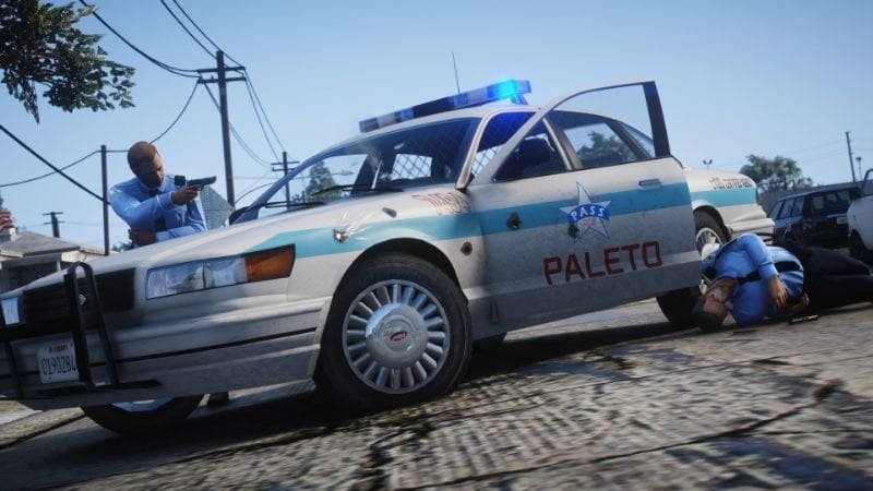 2cde57 paletopolice