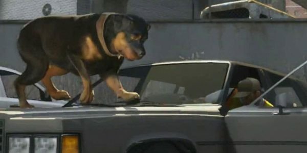 9efecb gta v dog