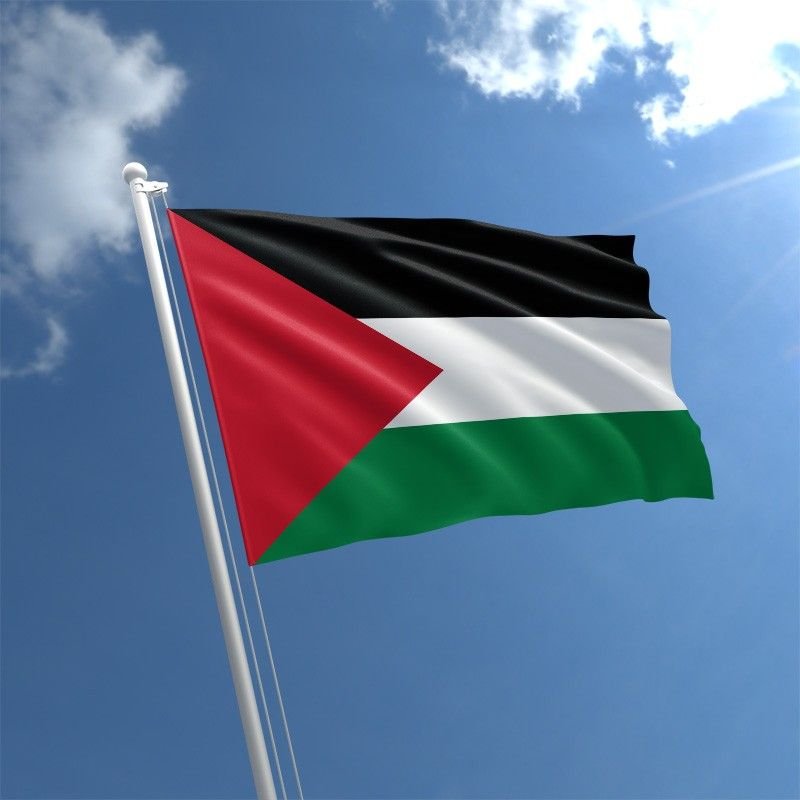 9ee6ef palestine flag std