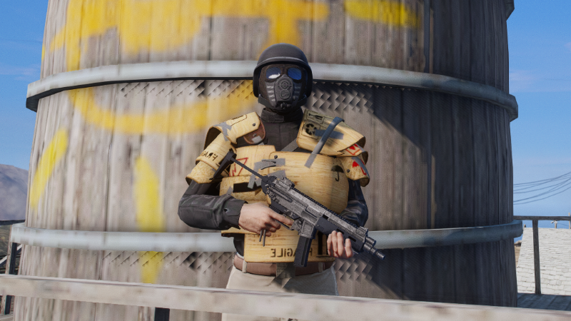 596203 cropped armour1