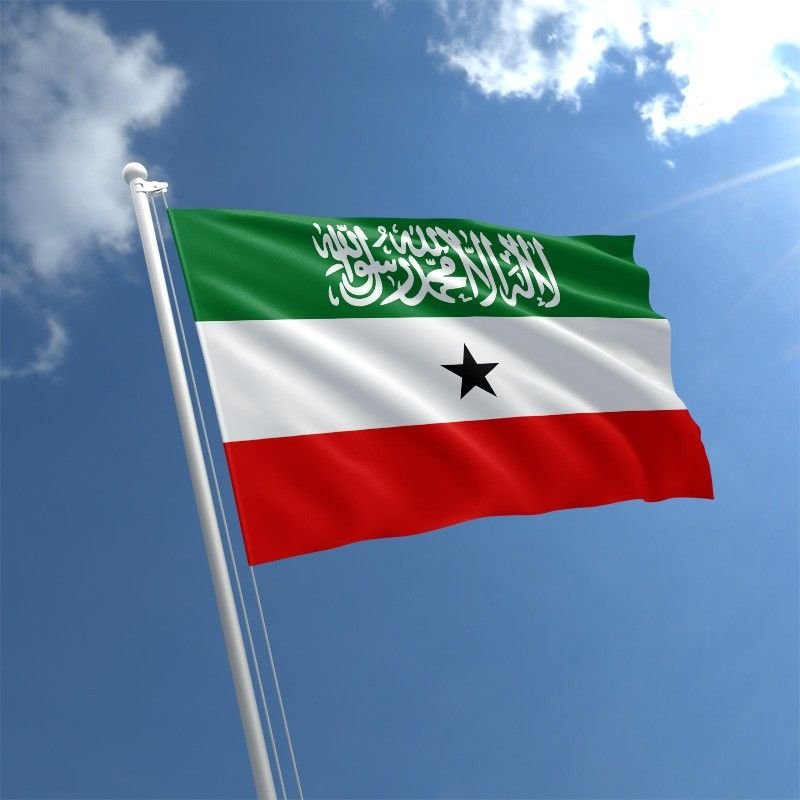 3f82ed somaliland flag std 1
