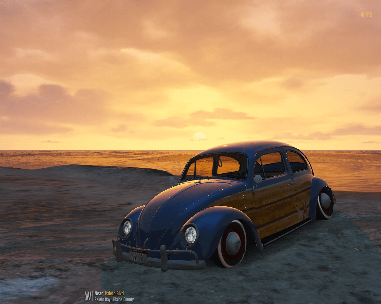 Volkswagen Beetle Custom