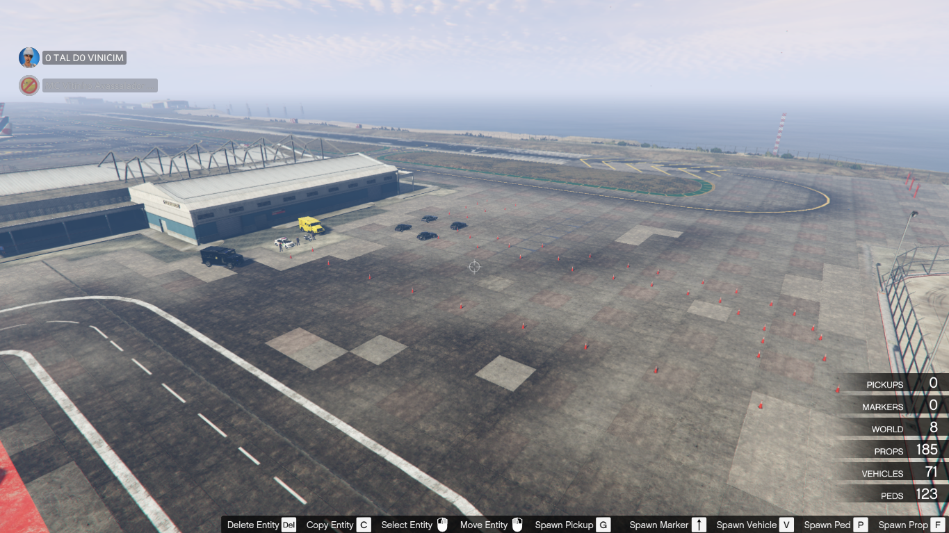 Aeroporto de Guarulhos/Aiport Guarulhos [Map Editor] - GTA5-Mods.com