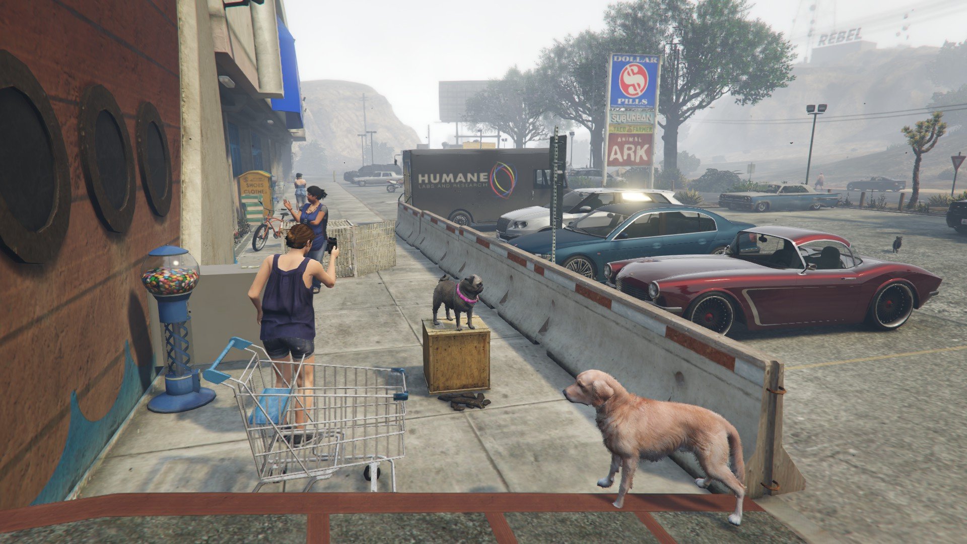 gta 5 pet store location