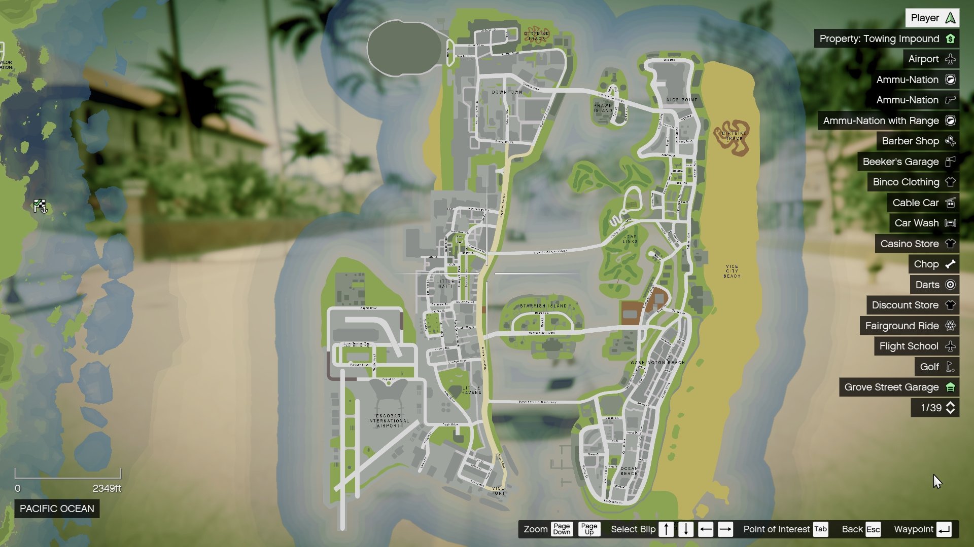 Atlas / GTA 5 Style Map with Radar for Vice Cry and Vice City Overhaul 