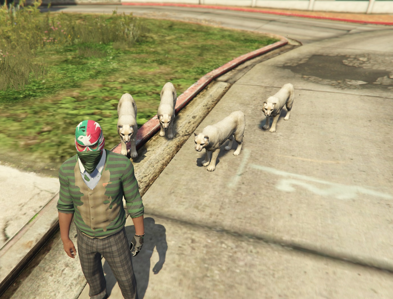 Are there animals in gta 5 фото 61