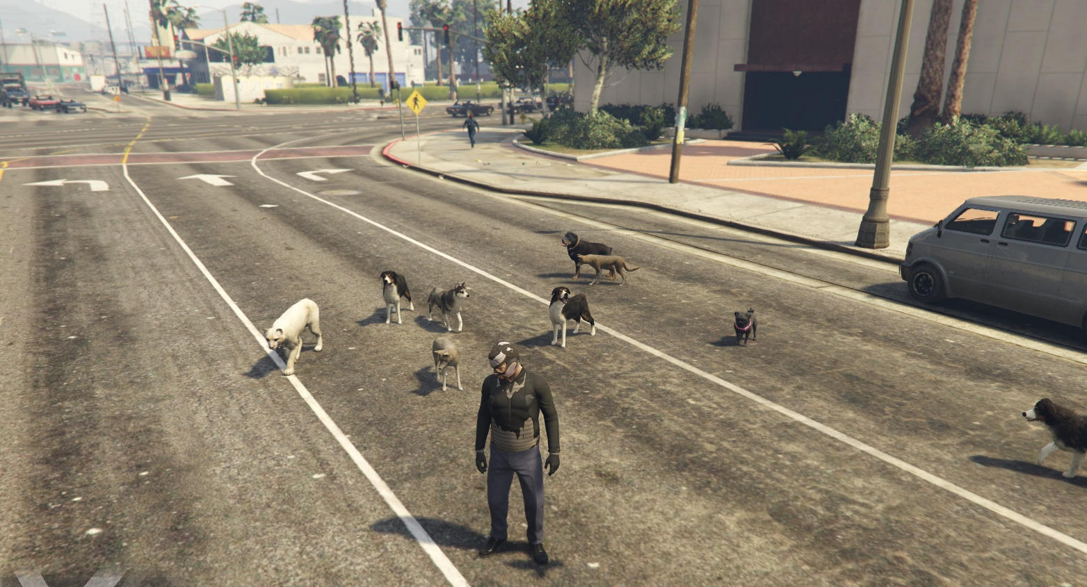 Gta 5 all animals you can be фото 36