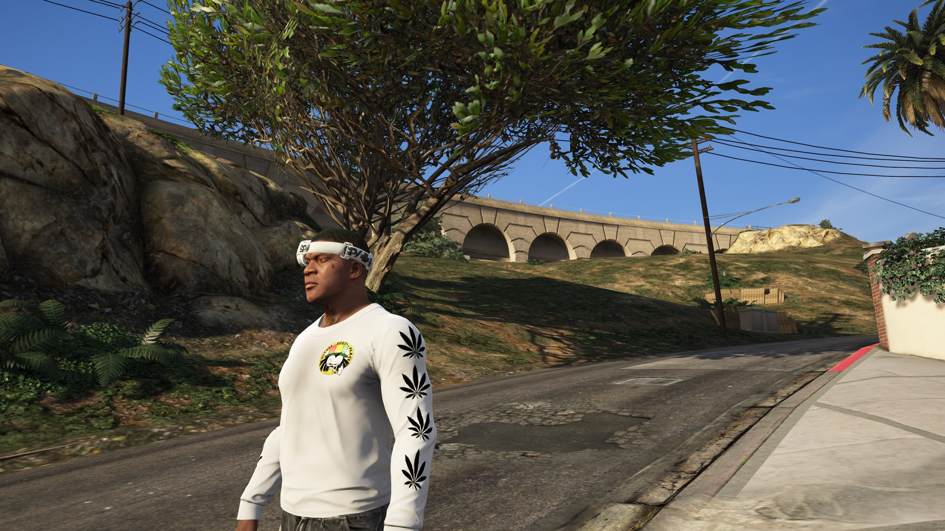 Dready Squidgy Black and White Widow Jerseys - GTA5-Mods.com