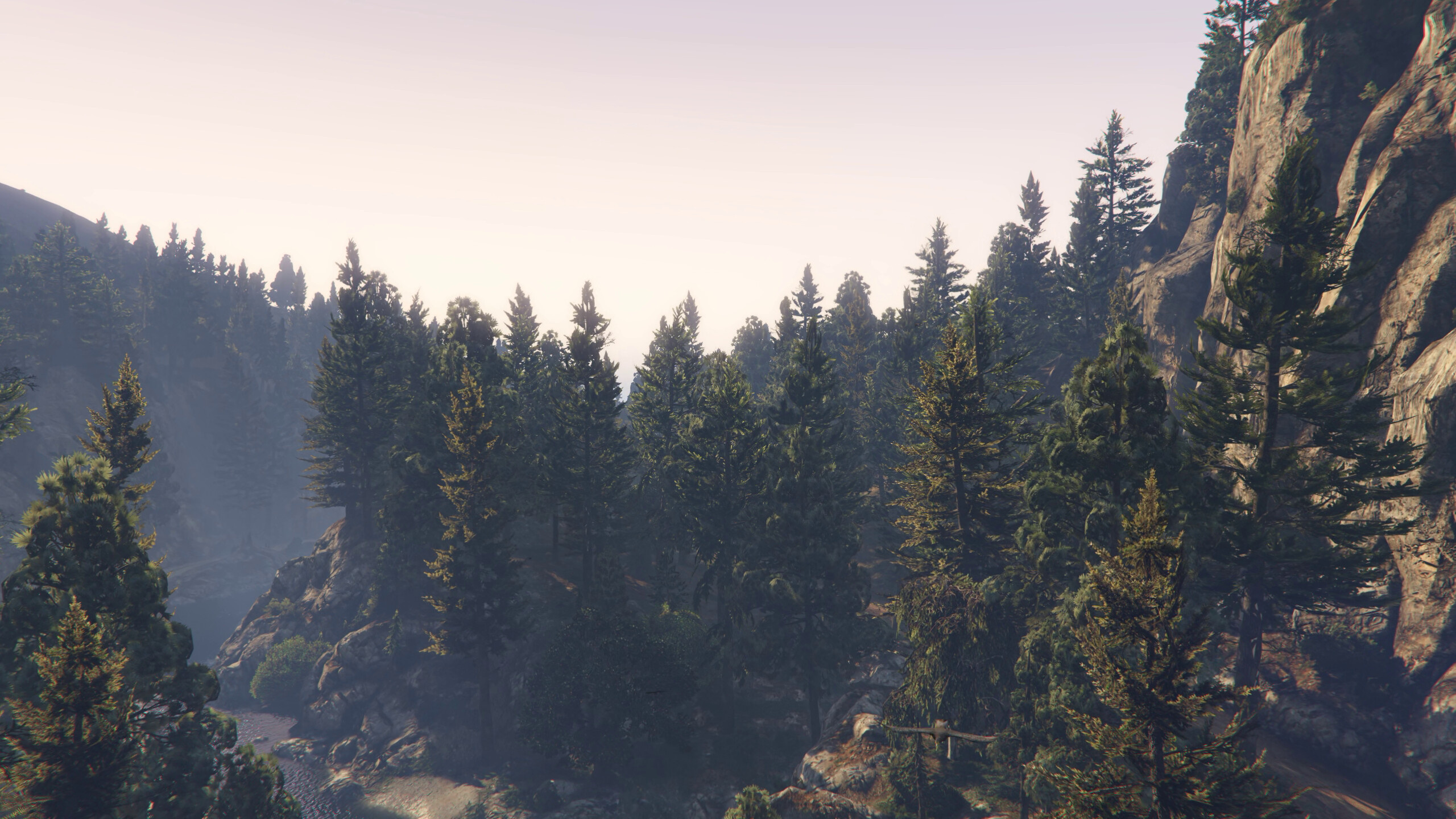 Forests of san andreas