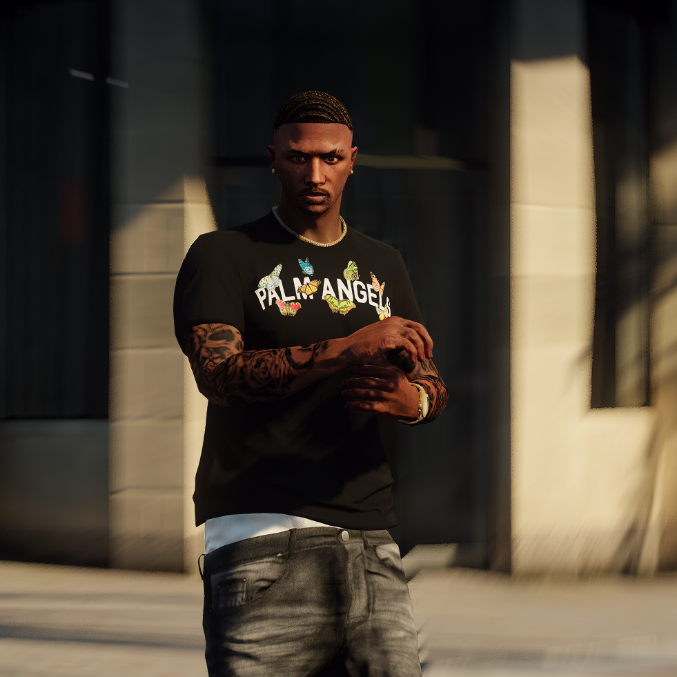 Palm Angels T-Shirt Pack For MP Male - GTA5-Mods.com