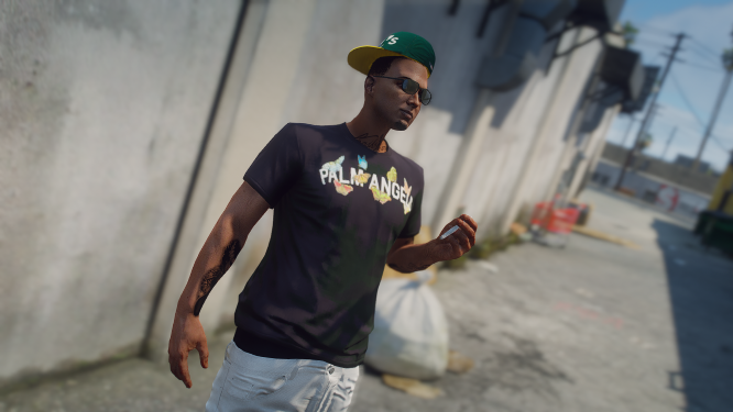Palms Angels Clothing Pack for MP Male - GTA5-Mods.com