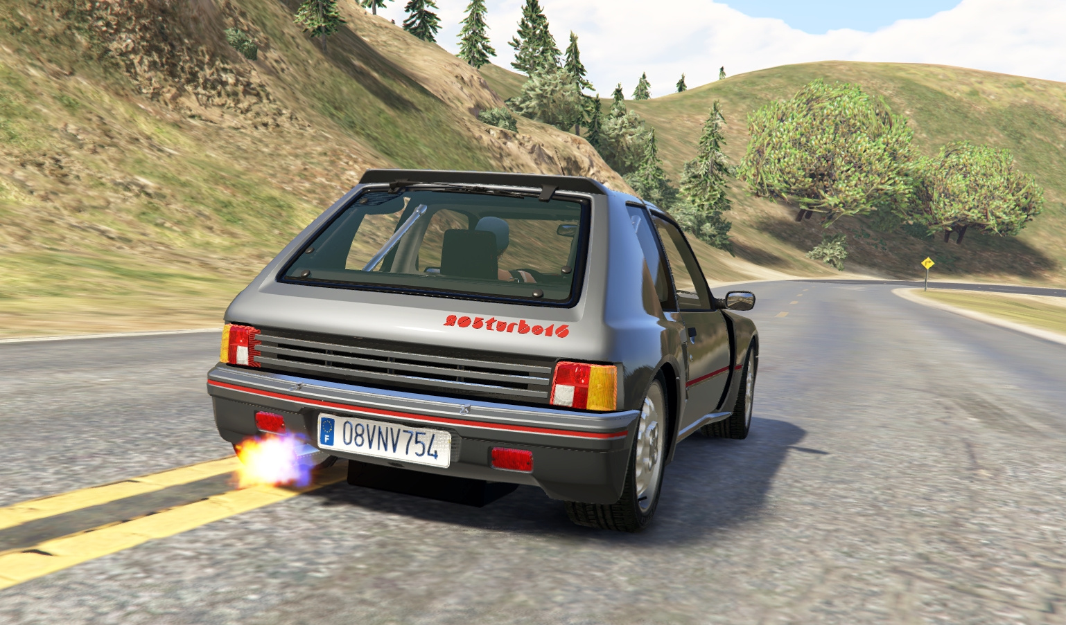 Peugeot 205 ралли