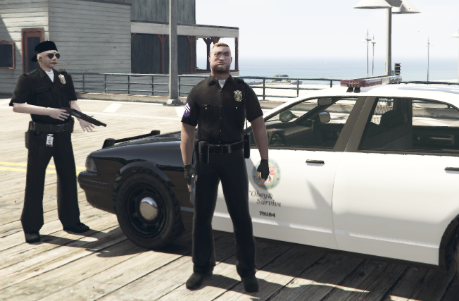 Pulaski POLICE HD (GTA SA) .