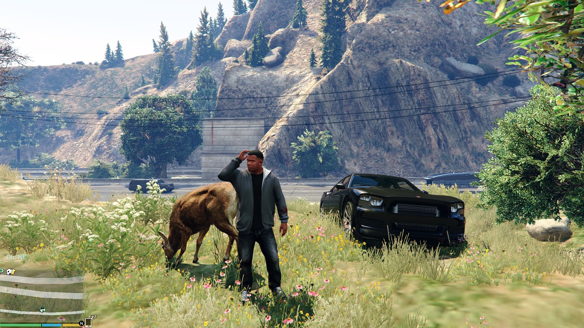 Gta 5 all animals you can be фото 72