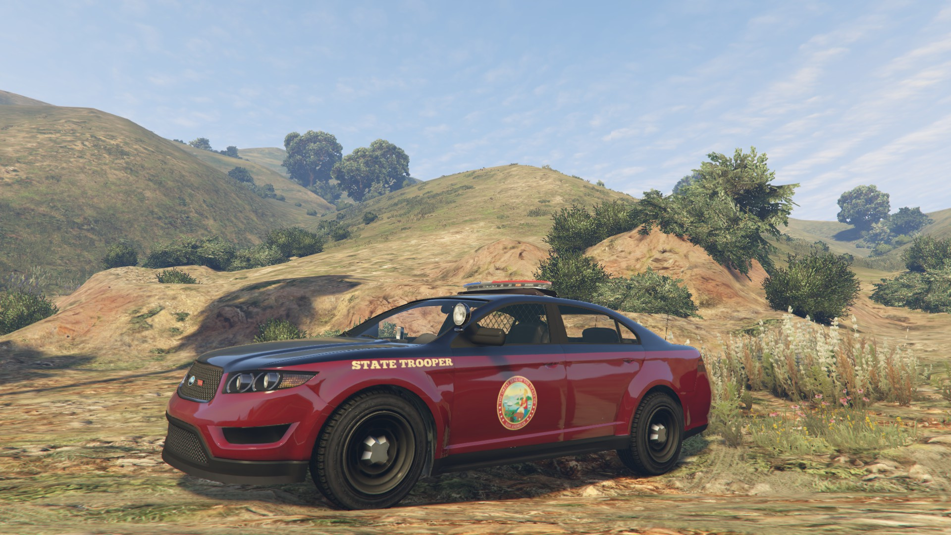 Gta 5 state police фото 18