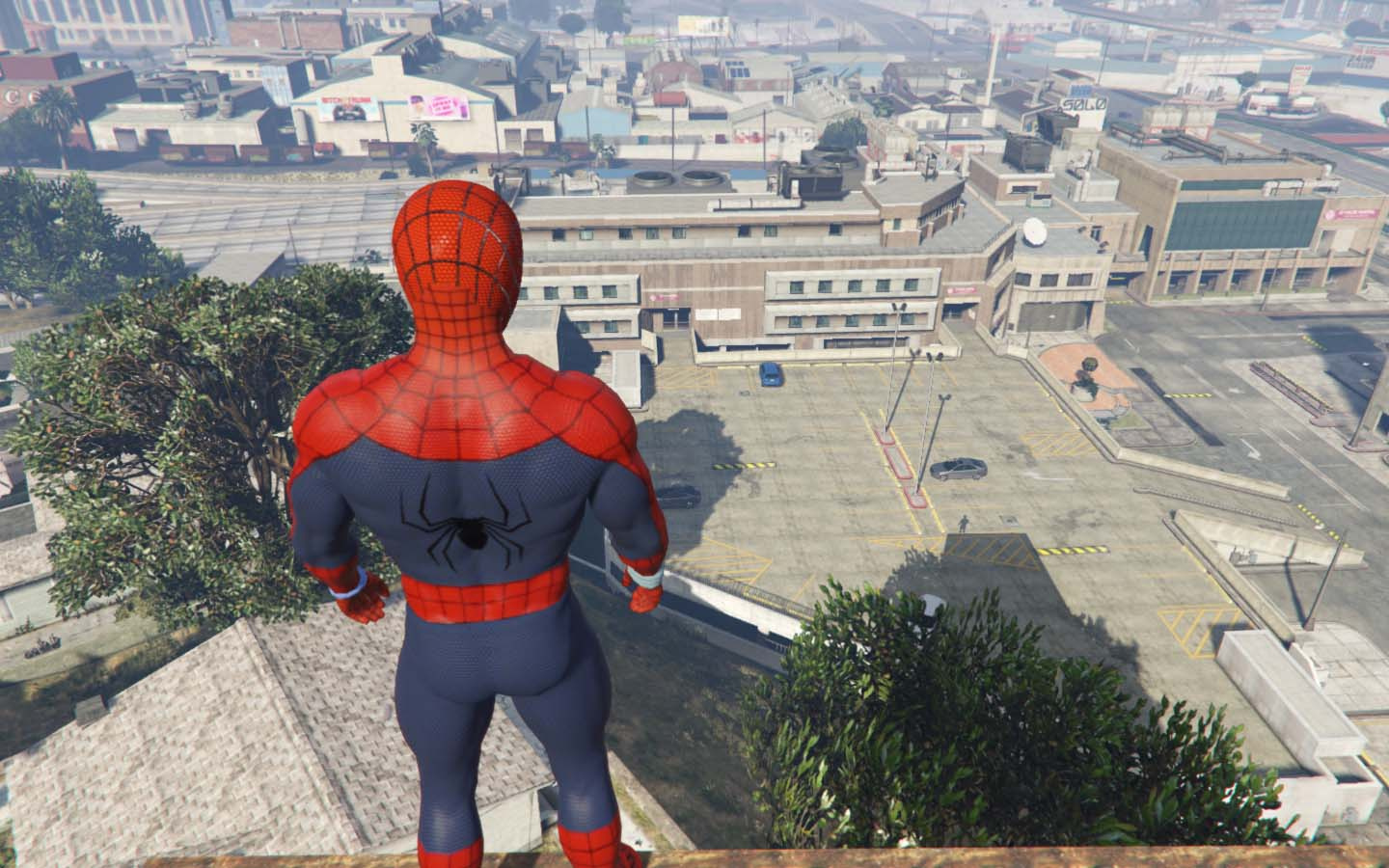 Gta 5 spider men фото 19