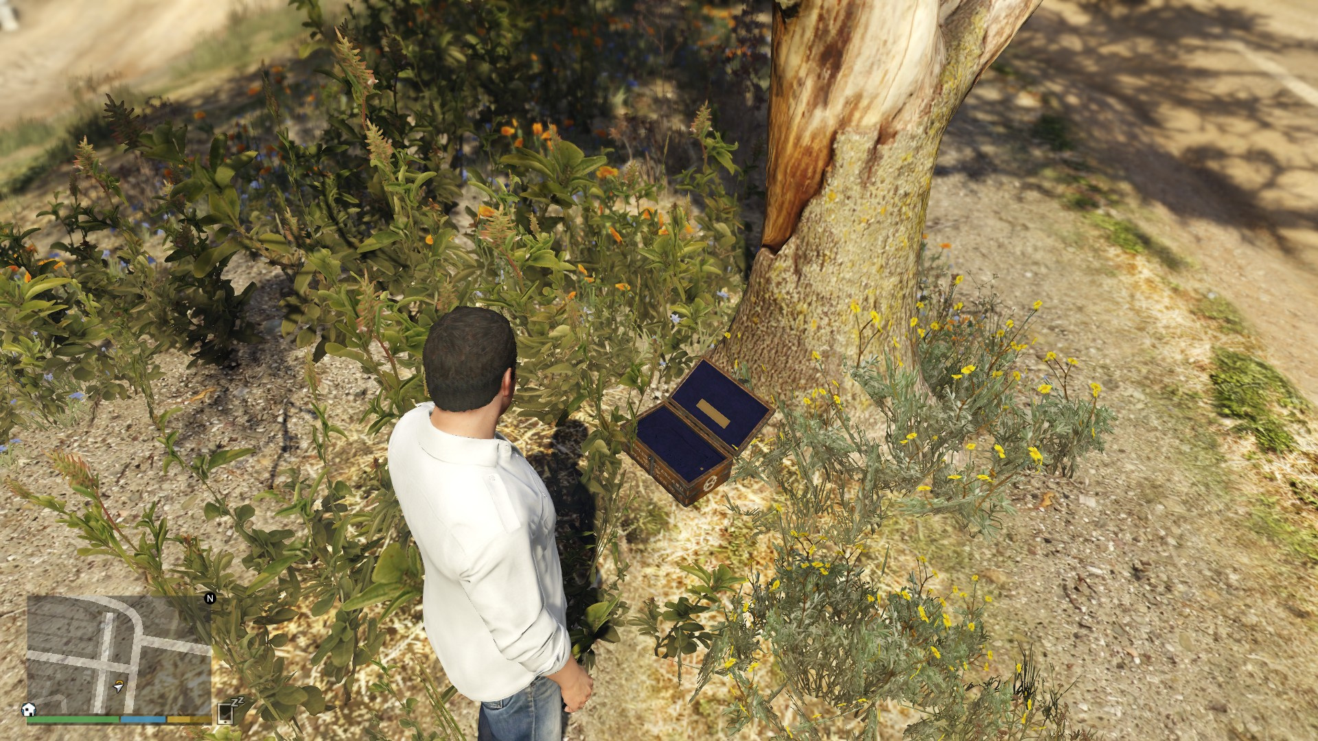 gta v treasure hunt